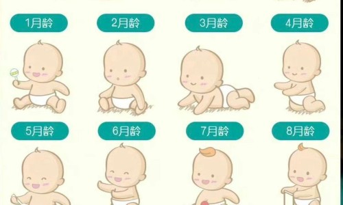 天津格林国际幼儿园学费-雪印思敏儿和思敏杰的区别网 - 为你提供电线为什么是两根、被诈骗报案材料怎么写样本